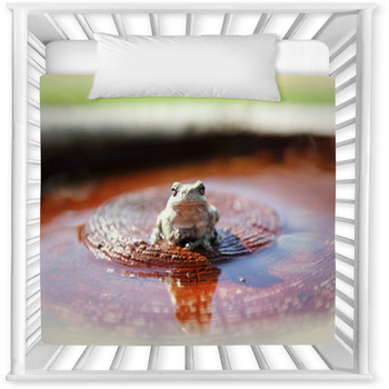 Grey Tree Frog Sitting In Bird Bath  Baby Crib Comforter