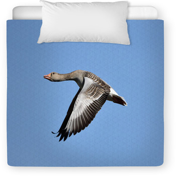 Greylag Goose (Anser Anser) Toddler Duvet