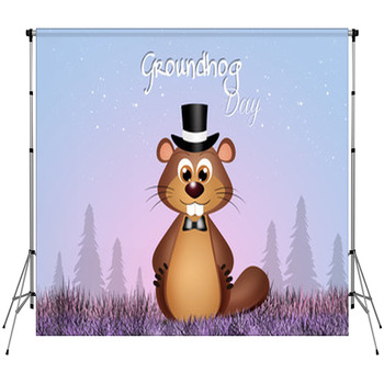 Groundhog Day Custom Size Backdrop
