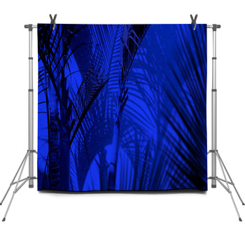 Group Of Close Up Decorative Palm Trees  Fleece Backdrop
