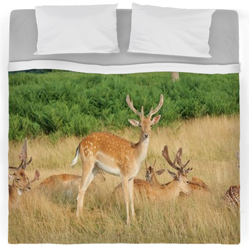 Deer Bedding | Comforters, Duvet Covers, Sheets & Bed Sets | Personalized