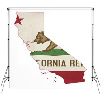Grunge State Of Illinois Flag Map Fleece Backdrop
