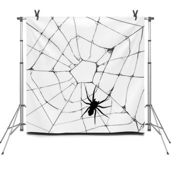 Grunge Web Spider Fleece Backdrop