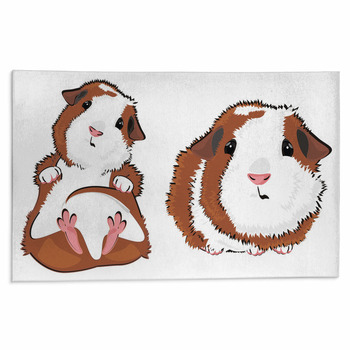 Guinea Pig Rugs