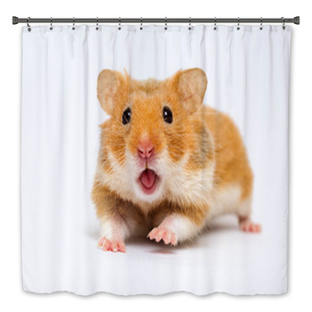 Hamster Bath Decor