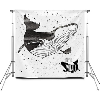 Hand Drawn Grunge Watercolor Whale  Custom Size Backdrop