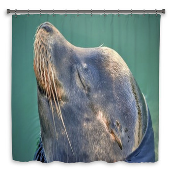 Happy Seal Shower Curtain