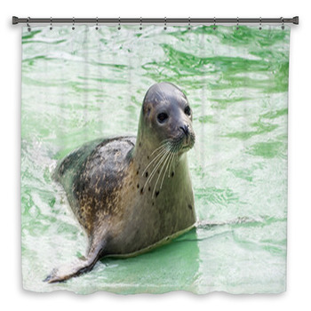 Harbor Seal (Phoca Vitulina) Custom Size Shower Curtain