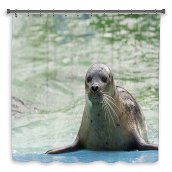Harbor Seal (Phoca Vitulina) Shower Curtain