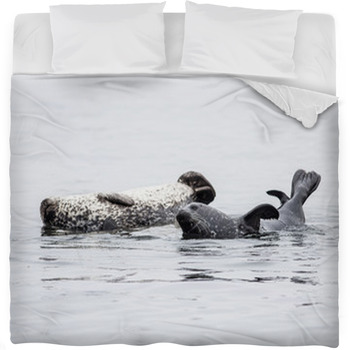 Harbor Seals Fleece Bed Blanket