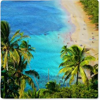 Hawaiian Baby Blankets Toddler Bedding Personalized