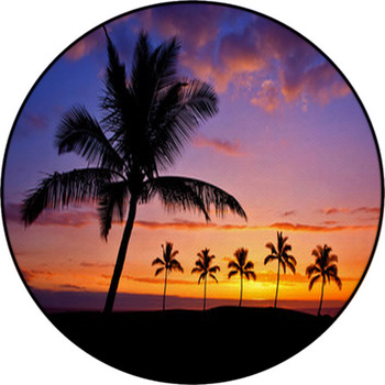 Hawaiian Palm Tree Silhouette Sunset On Big Round Rug