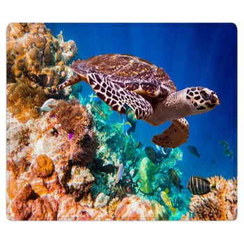 Hawksbill Turtle - Eretmochelys Imbricata Bath Mat