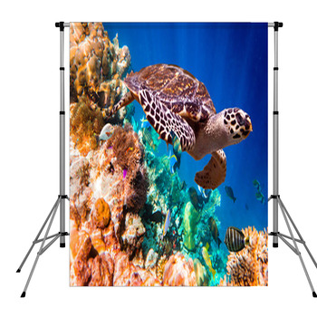 Hawksbill Turtle - Eretmochelys Pole Pocket Backdrop