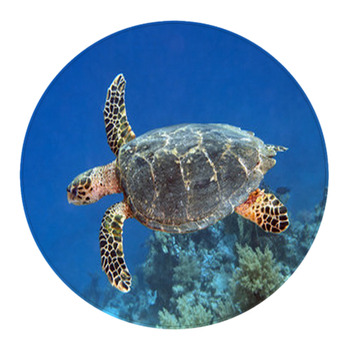 Hawksbill Turtle Round Rug