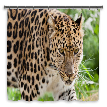 Head Shot Of Amur Leopard Stalking Shower Curtain