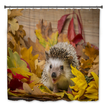 Hedgehog Bath Decor