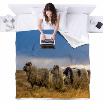 Comforter Blanket Sheep Berti