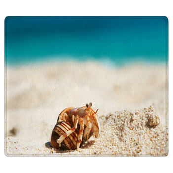 Hermit Crab At Beach Area Rug