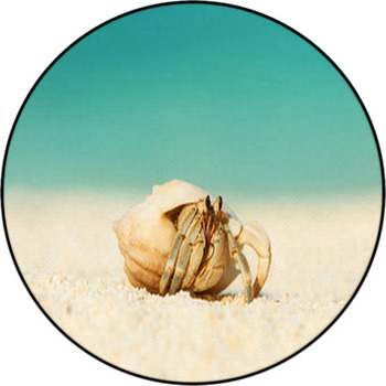 Hermit Crab At Beach Round Rug