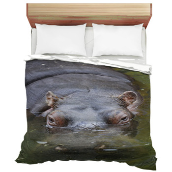 hippo comforter