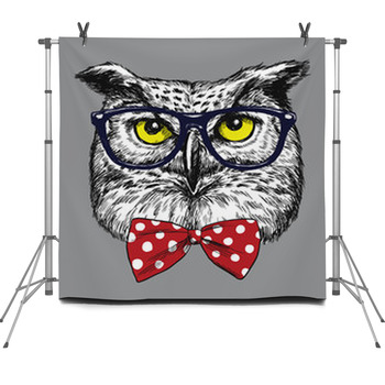 Hipster Owl With Glasses And Bow Tie Fleece Backdrop