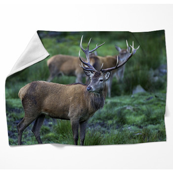 Deer sales blankets throws