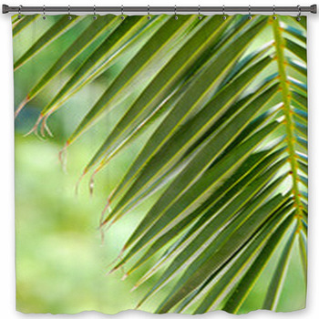 HOJA DE PALMERA. TROPICAL, VERDOR Shower Curtain