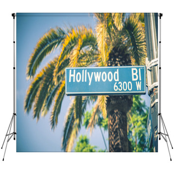Hollywood Fleece Backdrop