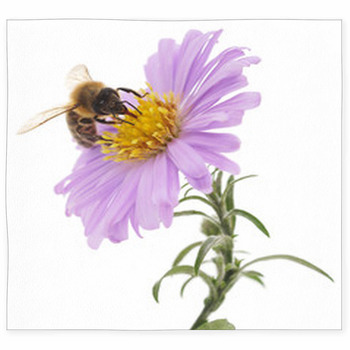 Honeybee And Blue Flower Custom Size Floor Mat