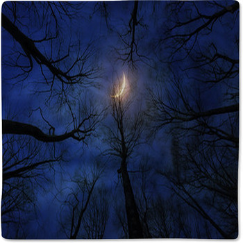 Horror Forest With Moon At Night Baby Blanket