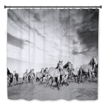 Horse Bath Decor