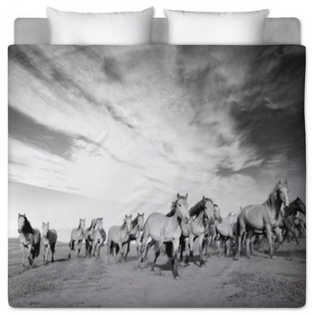 Horse Bedding