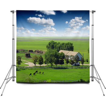 Horses In The Field Custom Size Backdrop