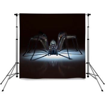 Huge Spider In Ambush Pole Pocket Backdrop