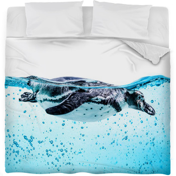 Humboldt Penguin (Spheniscus Fleece Bed Blanket