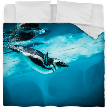 Humboldt Penguin (Spheniscus Fleece Bed Blanket