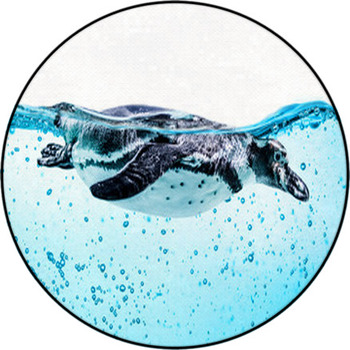 Humboldt Penguin (Spheniscus Humboldti) Round Rug