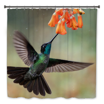 Hummingbird Bath Decor