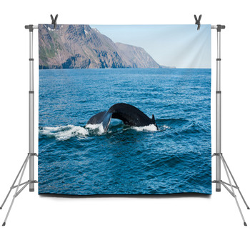 Humpback Whale Fin Fleece Backdrop