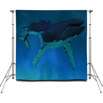 Humpback Whale Ocean Custom Size Backdrop
