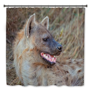 Hyena Bath Decor