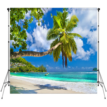 Idyllic Tropical Scenery - Custom Size Backdrop