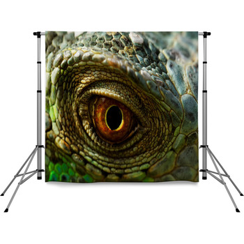 Iguana Eye Pole Pocket Backdrop