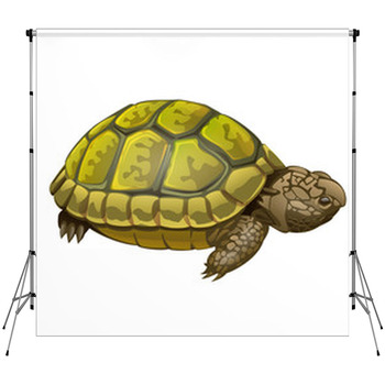 Illustration Of Little Turtle Custom Size Backdrop
