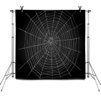 Illustration Of Spiderweb Fleece Backdrop