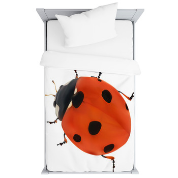 Illustration With Red Seven Ponts Ladybug  Toddler Duvet