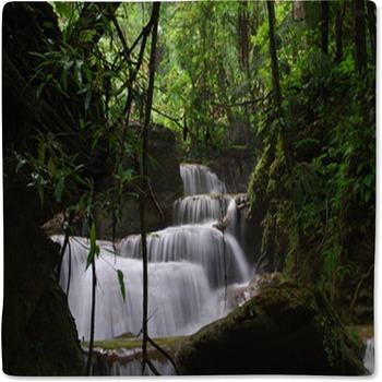 In The Jungle Baby Blanket