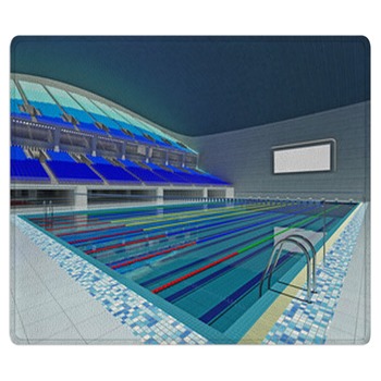 Indoor Olympic Swimming Pool Arena With Blue Area Rug