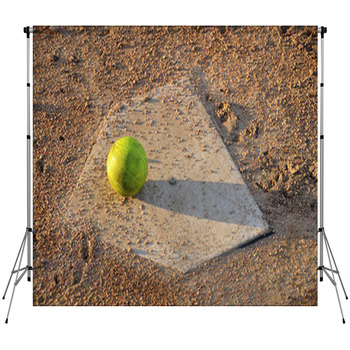 Inning Over Fleece Backdrop